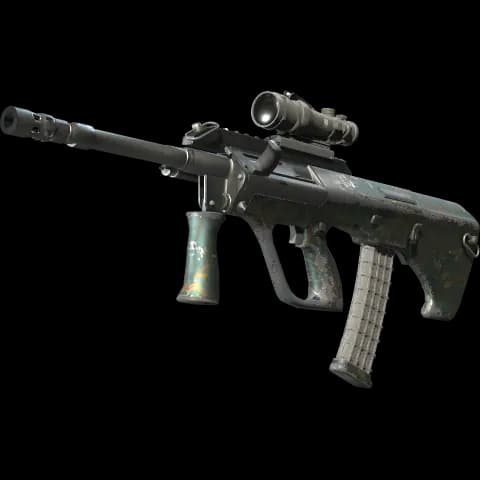 AUG | Surveillance (Well-Worn)