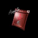 Autograph Capsule | Astralis | Atlanta 2017