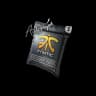 Autograph Capsule | Fnatic | Cologne 2015