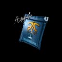 Autograph Capsule | Fnatic | Cologne 2016