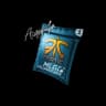 Autograph Capsule | Fnatic | MLG Columbus 2016