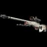 AWP | LongDog (Well-Worn)