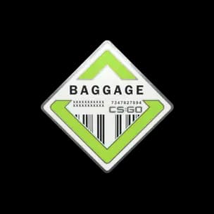 Baggage Pin