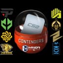 Copenhagen 2024 Contenders Sticker Capsule