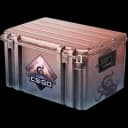 Dreams & Nightmares Case