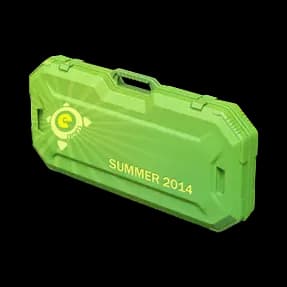 eSports 2014 Summer Case