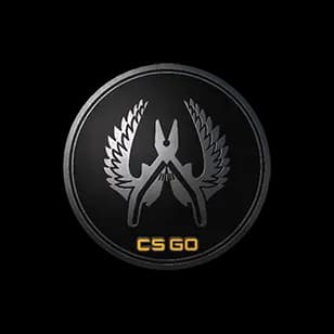 Guardian Elite Pin
