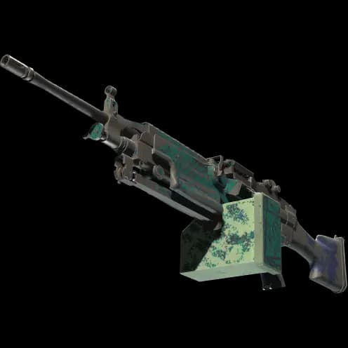 M249 | Shipping Forecast (Battle-Scarred)