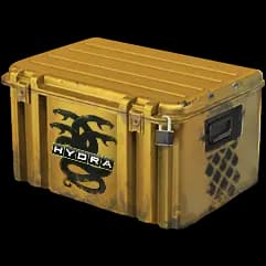 Operation Hydra Case