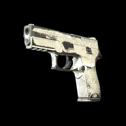 P250 | Whiteout (Battle-Scarred)