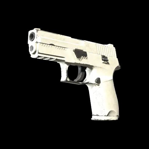 P250 | Whiteout (Well-Worn)