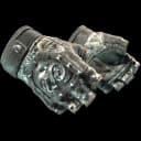 ★ Broken Fang Gloves | Unhinged (Field-Tested)