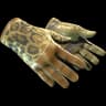 ★ Driver Gloves | Queen Jaguar (Field-Tested)