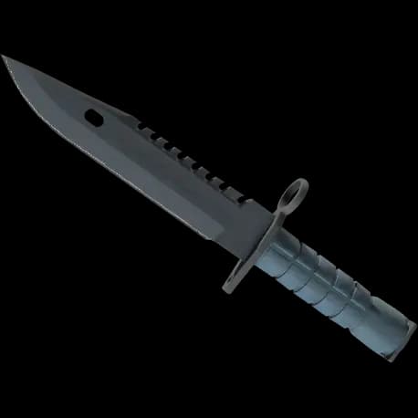 ★ M9 Bayonet | Night (Minimal Wear)