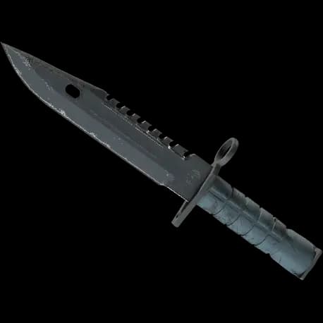 ★ M9 Bayonet | Night (Well-Worn)