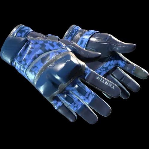 ★ Moto Gloves | Polygon (Factory New)