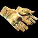 ★ Moto Gloves | Transport (Field-Tested)