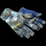 ★ Specialist Gloves | Mogul (Minimal Wear)