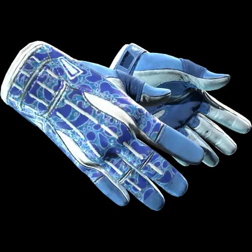 ★ Sport Gloves | Amphibious (Factory New)