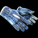 ★ Sport Gloves | Amphibious (Field-Tested)