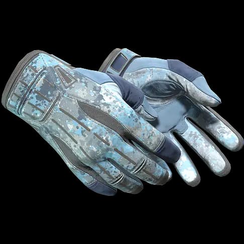 ★ Sport Gloves | Frosty (Minimal Wear)