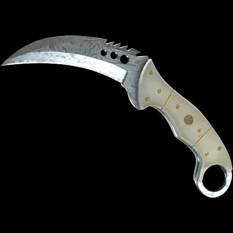 ★ Talon Knife | Damascus Steel (Factory New)
