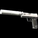 StatTrak™ USP-S | Printstream (Field-Tested)