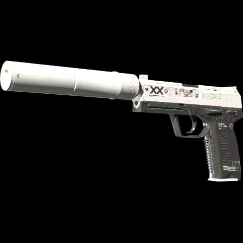 StatTrak™ USP-S | Printstream (Well-Worn)