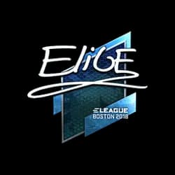 Sticker | EliGE (Foil) | Boston 2018